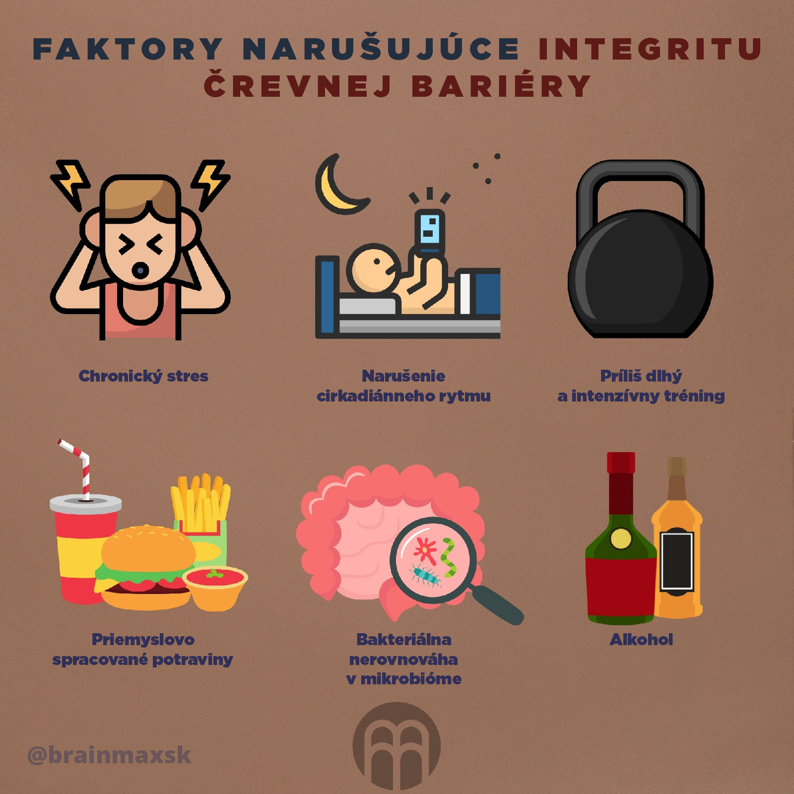 naruseni-integrity-infografika-brainmax-sk