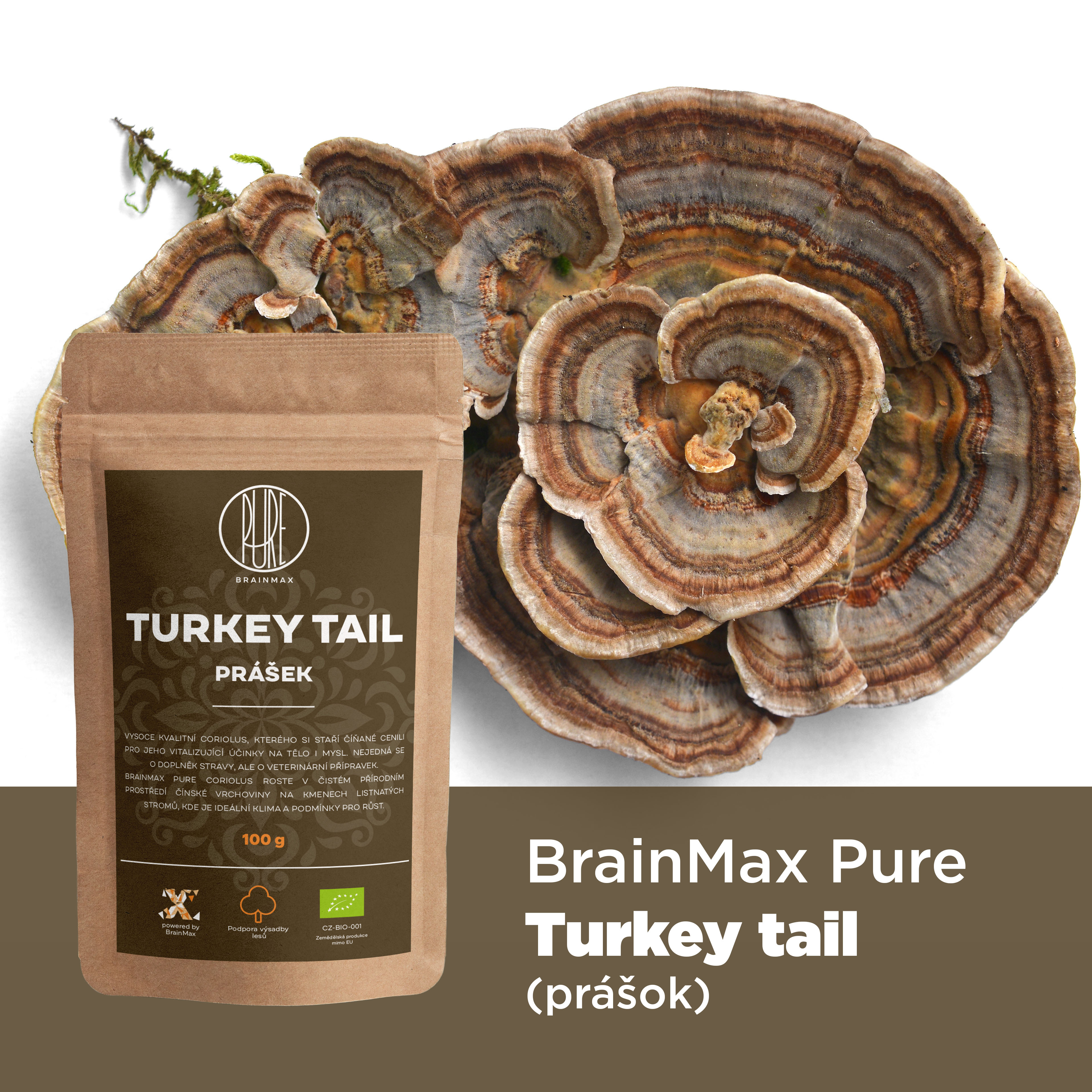 turkey_tail_infografika_brainmarket_sk